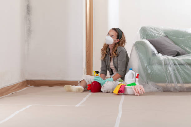 Reliable Mold Remediation contractor in Hempstead, TX by Cheap Mold Removal